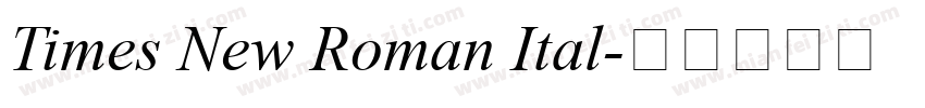 Times New Roman Ital字体转换
